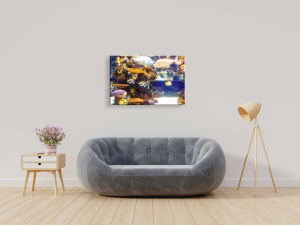 Tablouri underwater - pesti decorativi
