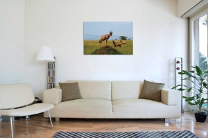 Tablou Antilope