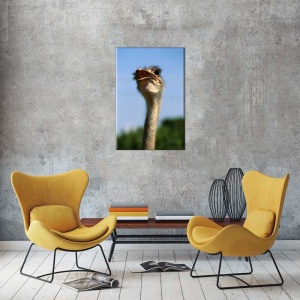 Tablou Cap de Strut
