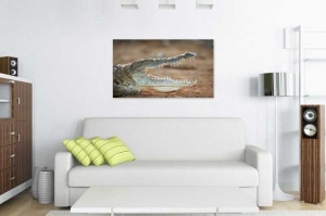 Tablou Crocodil