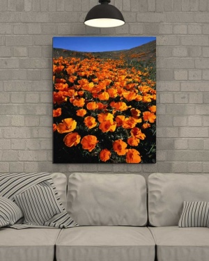 Tablou Flori