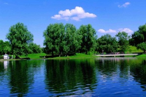 Tablou Lac Germania