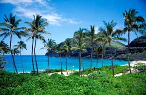 Tablou Paradisul Tropical