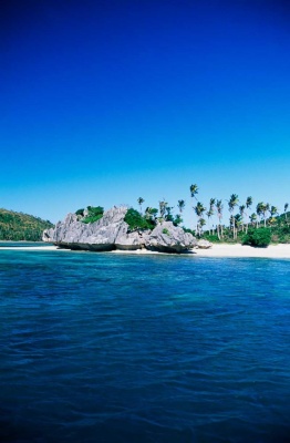 Tablou Paradisul Tropical
