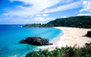 Tablou Paradisul Tropical