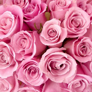 Tablou Trandafiri Roz