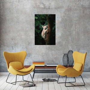 Tablou Urs Koala