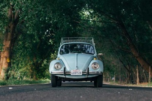Tablou VW Broscuta