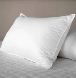 Perna Alba 50x70