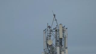 4G sau 5G: explorarea progreselor în tehnologia rețelelor