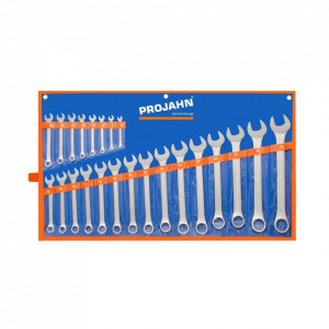 Set de chei fixe si inelare combinate PROJAHN metrice 6-32 mm 23 buc/set