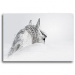 WHITE HORSE