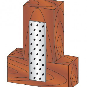 Placuta Perforata D-PP