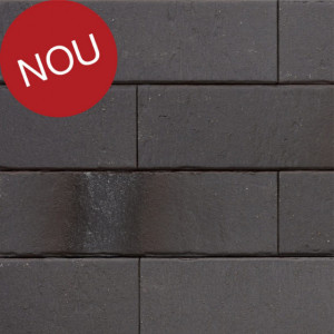 Terca Pelaris Root Black (215 x 65 x 14 mm)