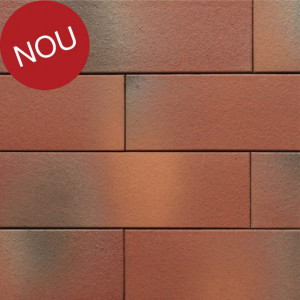 Terca Armis Garnet Red (215 x 65 x 9 mm)