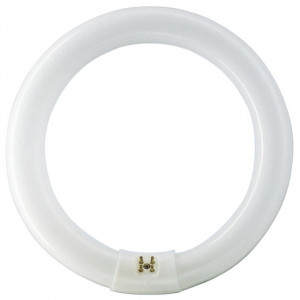 Tub fluorescent circular T9, 32W
