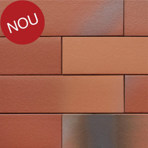 Terca Armis Hansa Red (215 x 65 x 14 mm)