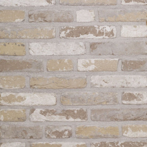 Terca Rustica Oud Laethem (215 x 65 x 23 mm)
