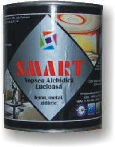 Vopsea economica interior/exterior SMART - cutie 0,6 L