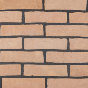 Caramida Plina Manuala ALGOM (250x120x65)