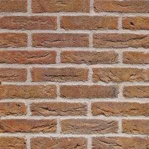 Terca Artiza Maaseiker Bont (210 x 65 x 23 mm)
