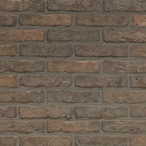 Terca Agora Porfier Grijs (215 x 50 x 23 mm)