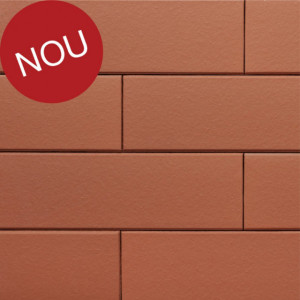 Terca Armis Persian Red (215 x 65 x 9 mm)