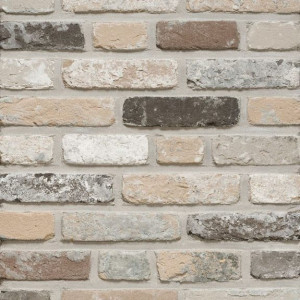 Terca Rustica Oud Leerne (215 x 65 x 23 mm)