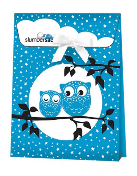 Ambalaj cadou Blue Owls