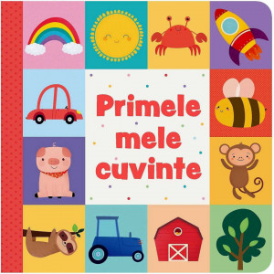 Primele mele cuvinte Editura Kreativ EK6462