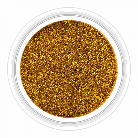 Sclipici Metalizat Unghii Metallic Gold No 11