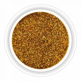 Sclipici Metalizat Unghii Metallic Gold No 11