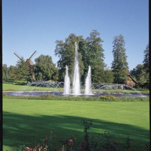 Cascade 50 T