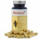Mesucur