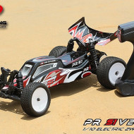 Pachet Automodel Buggy Competitie Incepatori T1