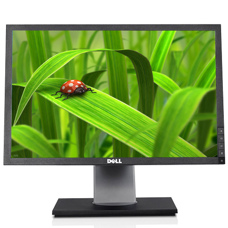 Monitor PC DELL E1910F 19 Pollici LCD, 1440x900, Ingressi DVI-D E VGA - Usato